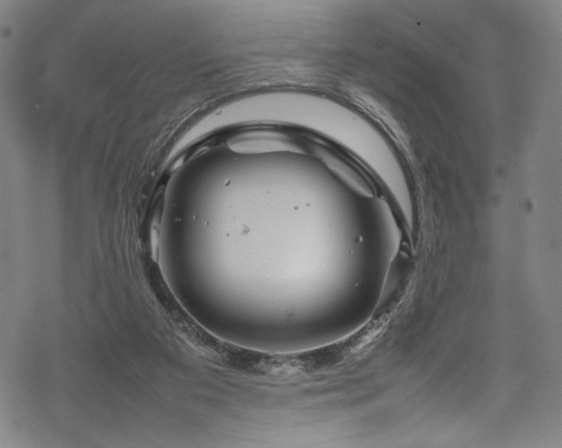 X0000070190113200605261207