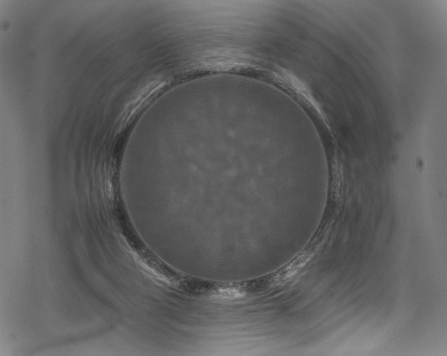 X0000070190114200605261207