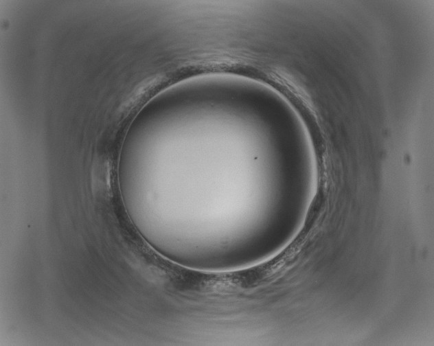 X0000070190115200605261207