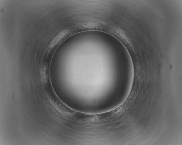 X0000070190116200605261207