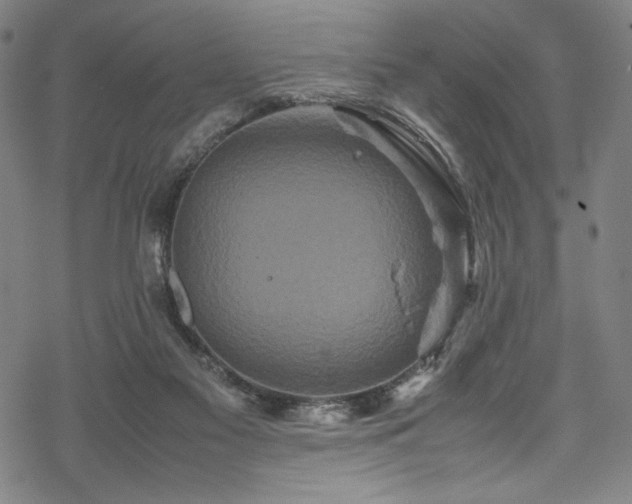 X0000070190117200605261207