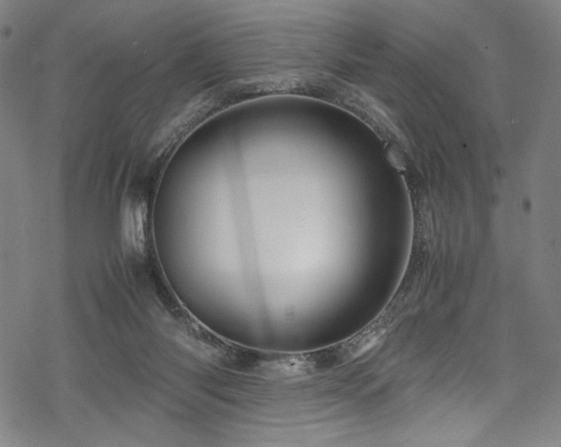 X0000070190118200605261207