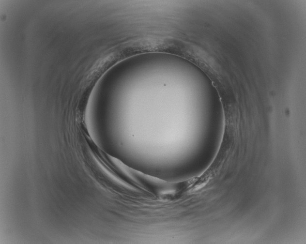 X0000070190119200605261207