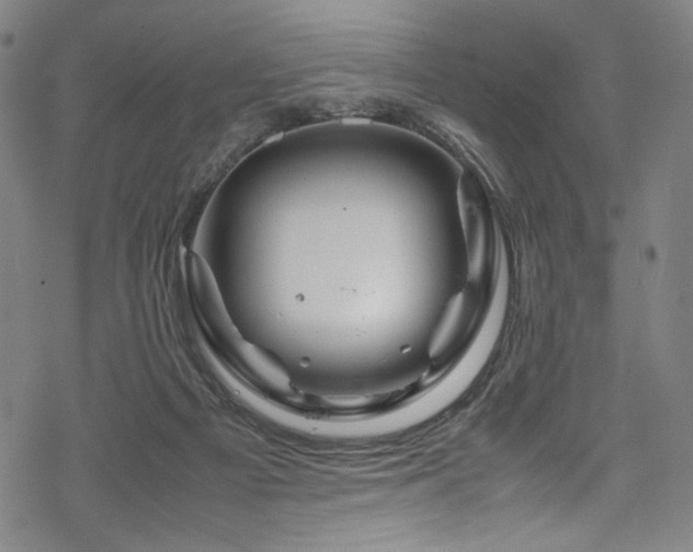 X0000070190121200605261207