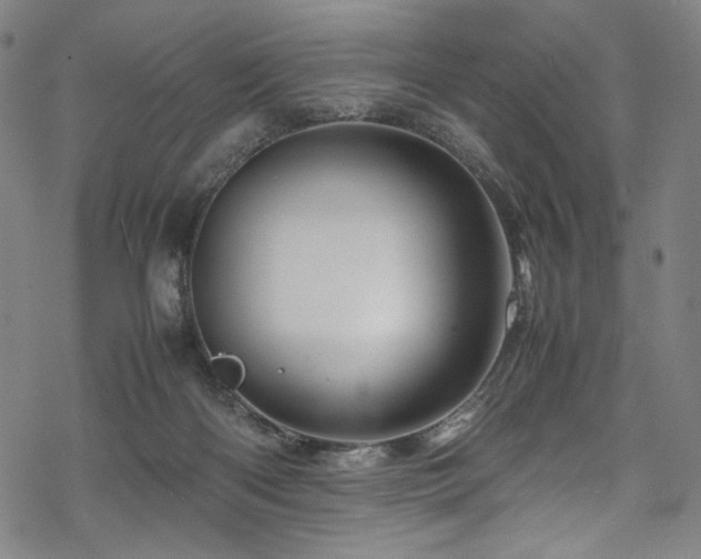 X0000070190122200605261207