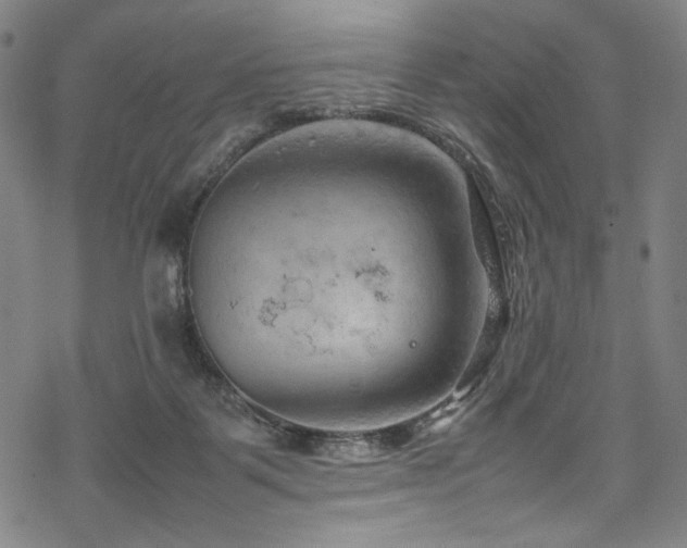 X0000070190123200605261207