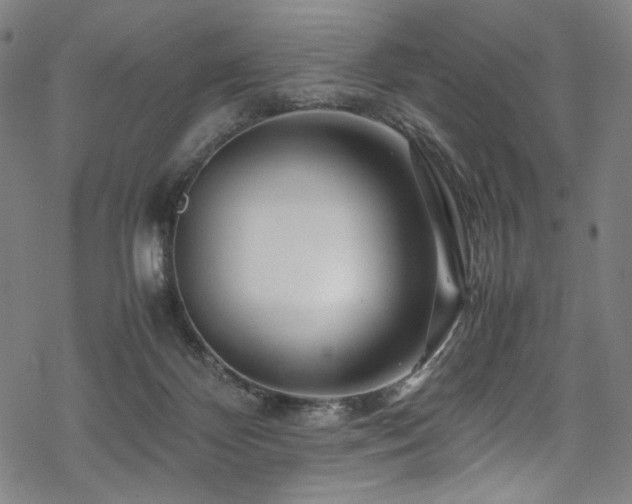 X0000070190124200605261207