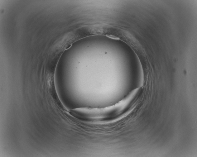 X0000070190125200605261207