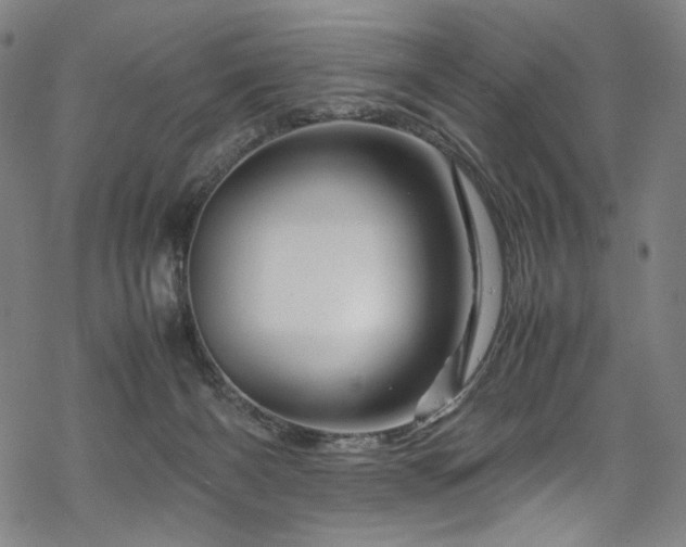 X0000070190126200605261207