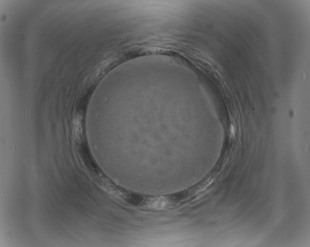 X0000070190127200605261207