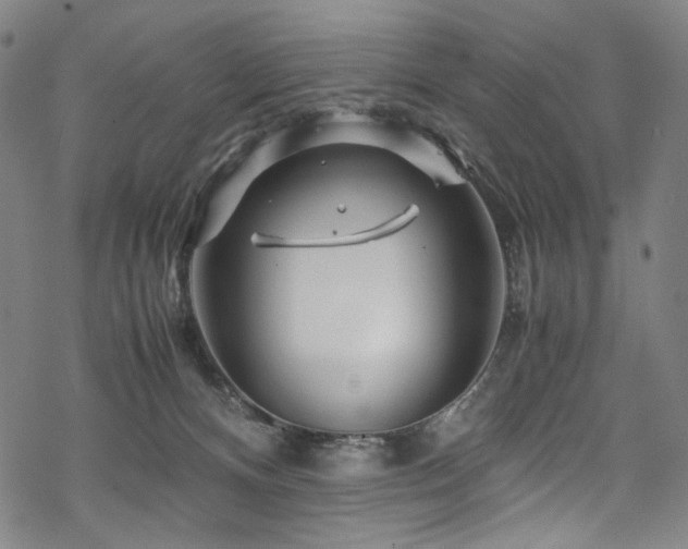 X0000070190128200605261207