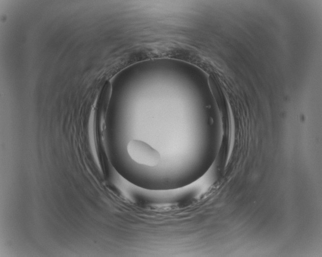 X0000070190129200605261207