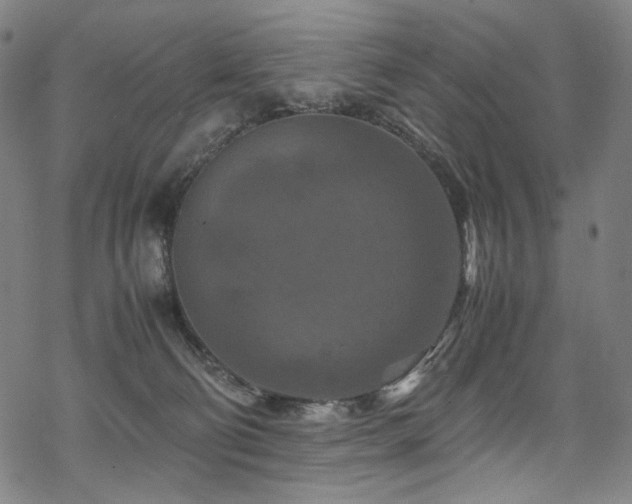 X0000070190130200605261207