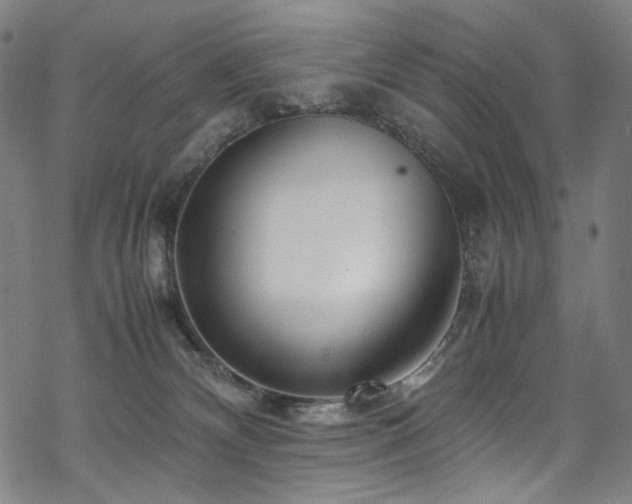 X0000070190132200605261207