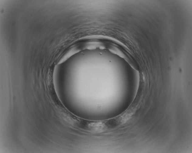 X0000070190133200605261207