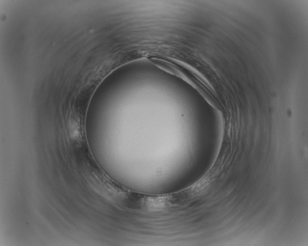 X0000070190134200605261207