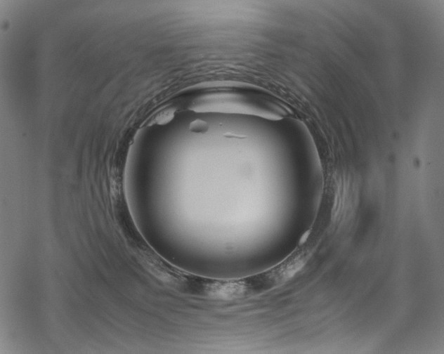 X0000070190135200605261207