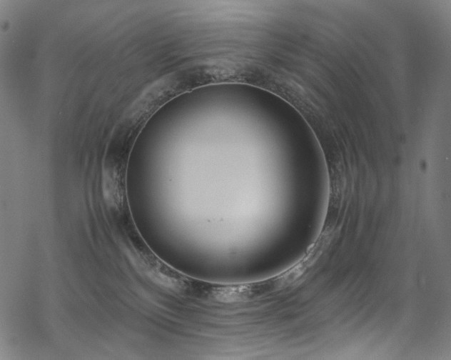 X0000070190136200605261207