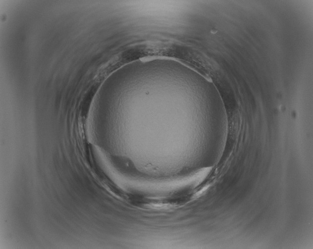 X0000070190137200605261207