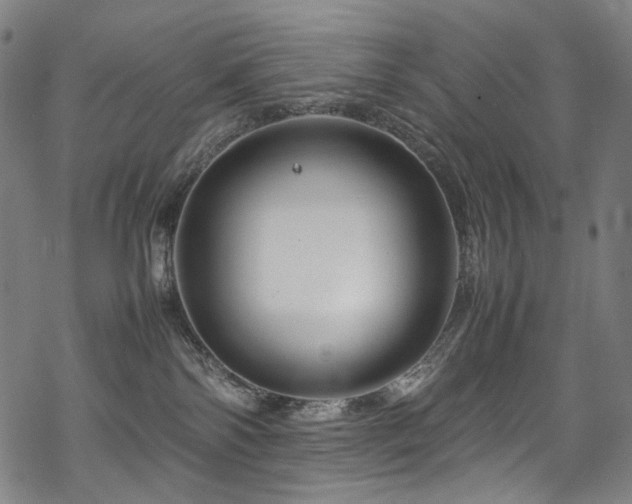 X0000070190138200605261207