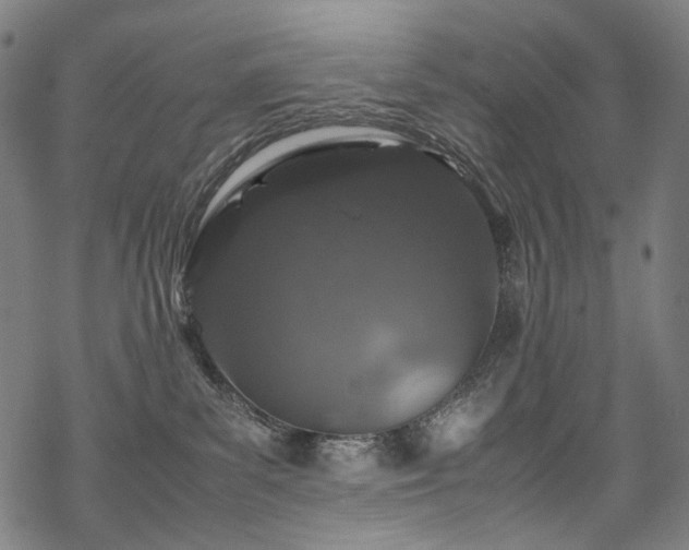 X0000070190139200605261207