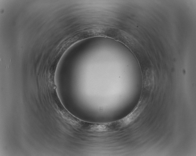 X0000070190140200605261207