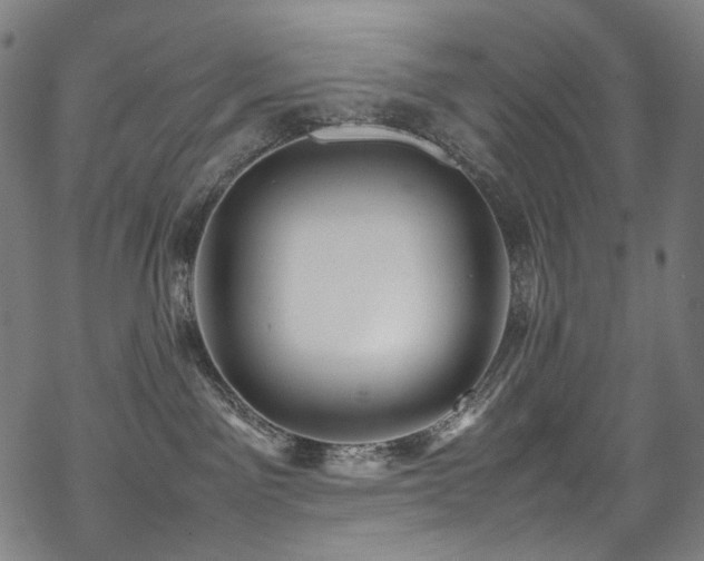 X0000070190141200605261207