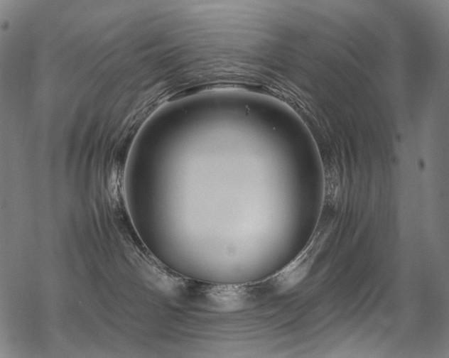 X0000070190142200605261207