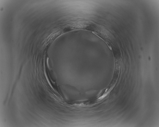 X0000070190143200605261207