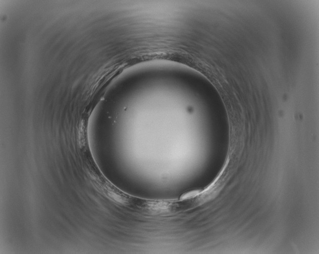 X0000070190144200605261207