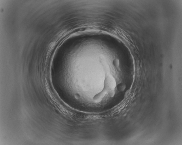 X0000070190145200605261206