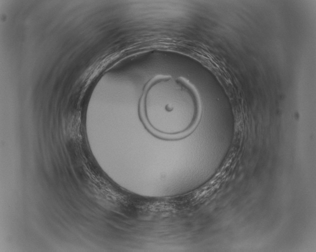 X0000070190146200605261206