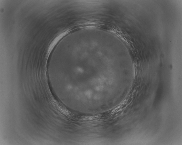 X0000070190147200605261206