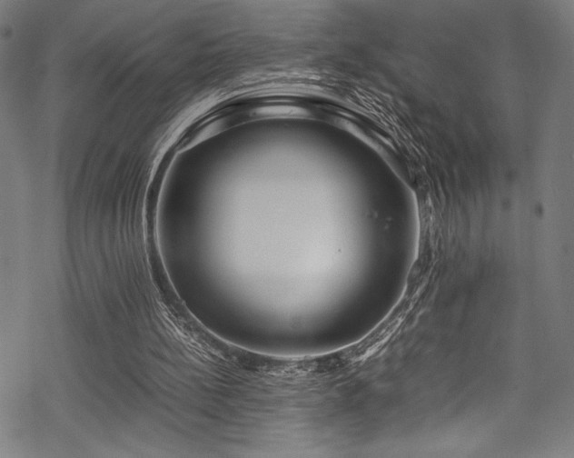 X0000070190148200605261206