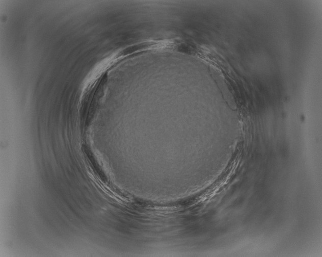 X0000070190149200605261206