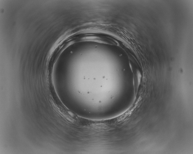 X0000070190150200605261206