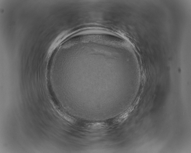 X0000070190151200605261206