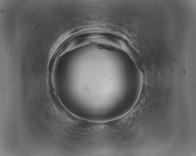 X0000070190152200605261206