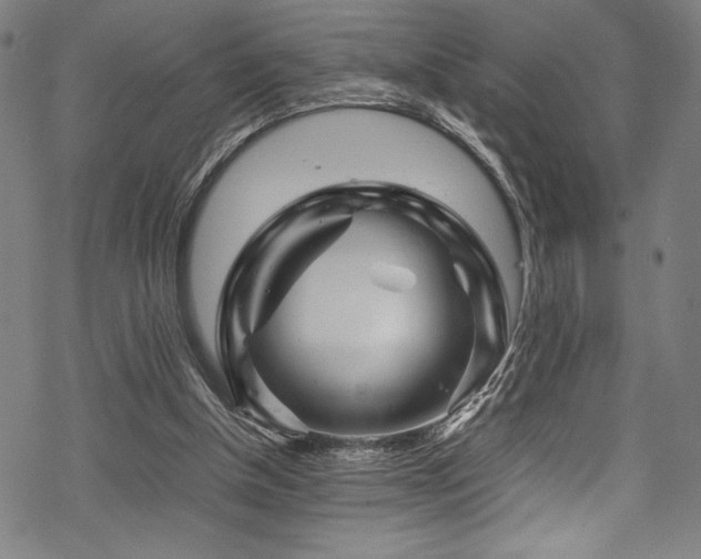 X0000070190154200605261206