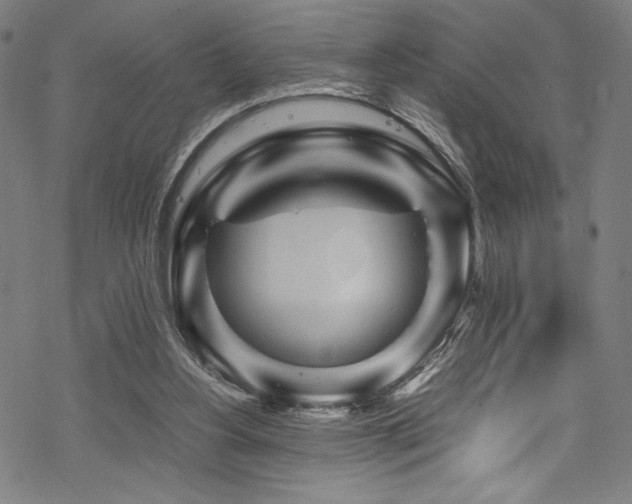 X0000070190156200605261206