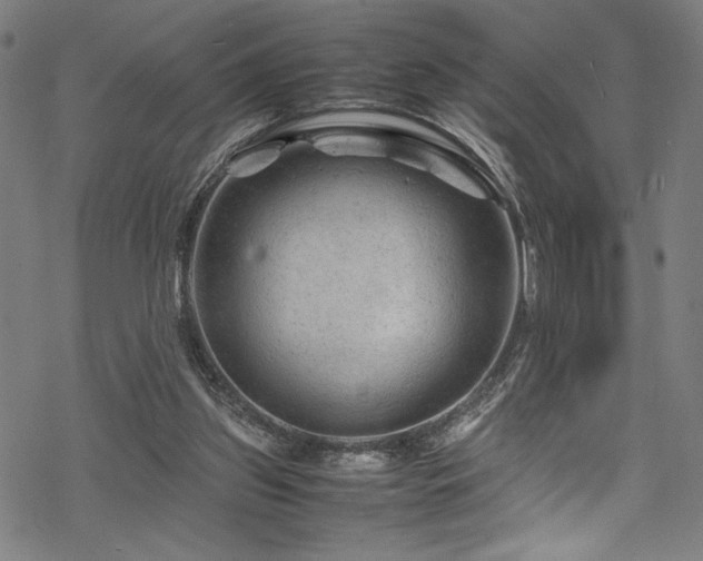 X0000070190157200605261206