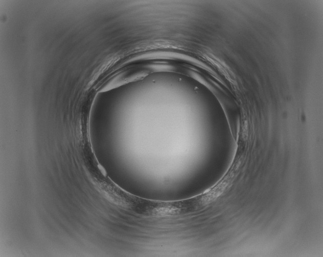 X0000070190158200605261206