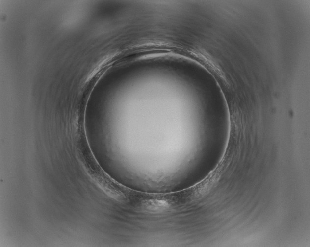 X0000070190159200605261206