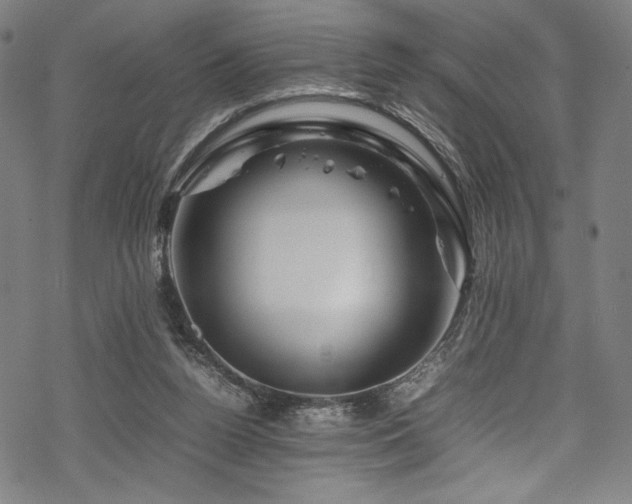 X0000070190160200605261206