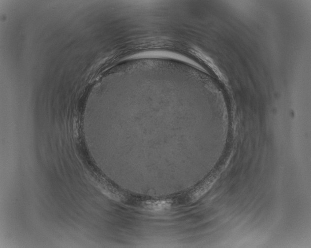 X0000070190161200605261206