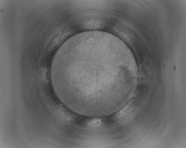 X0000070190162200605261206