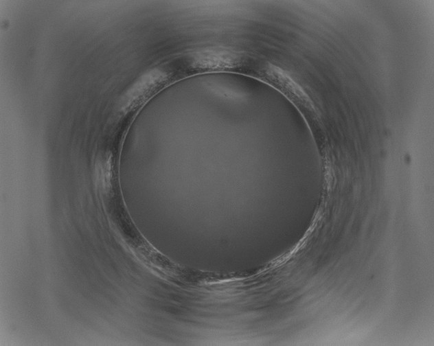 X0000070190163200605261206