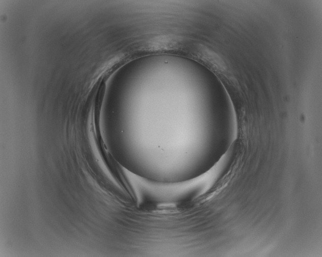 X0000070190164200605261206