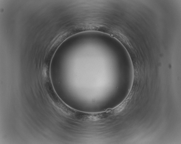 X0000070190166200605261206