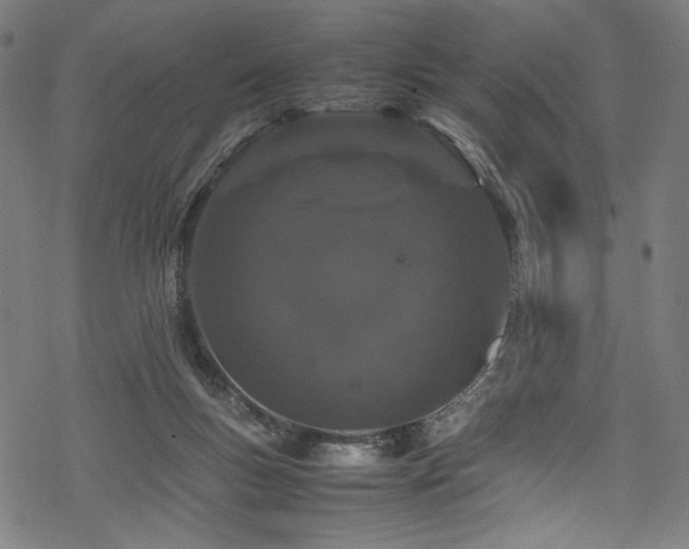 X0000070190167200605261206